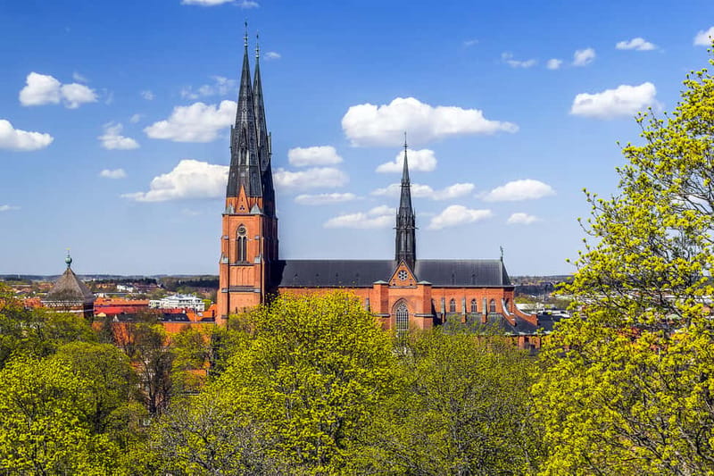 Stockholm Viking History Full Day Tour to Sigtuna + Uppsala - Jarlabanki Bridge and the Runic Inscription Close-Up