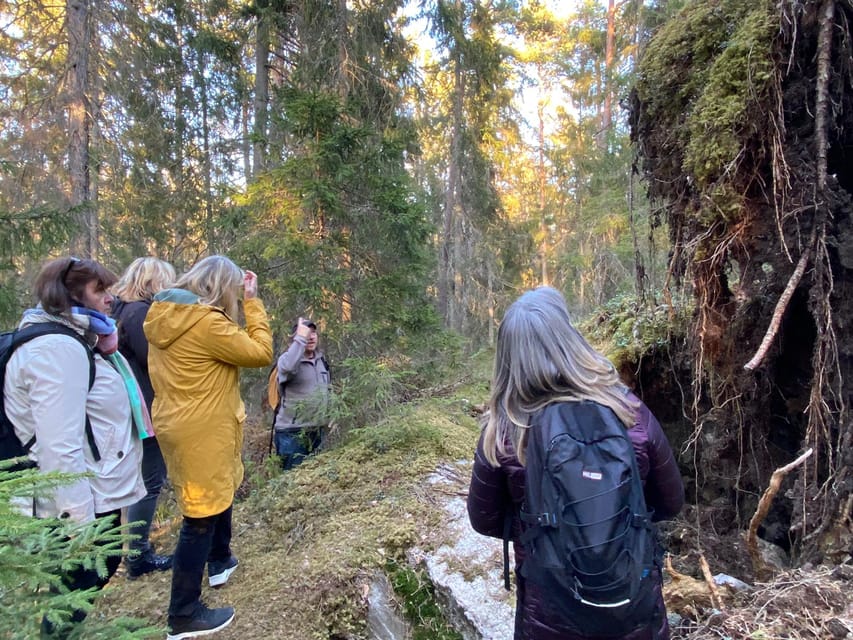 Stockholm: Wildlife Tour With Dinner and Short Hike - What to bring, and how to dress for Swedish dusk