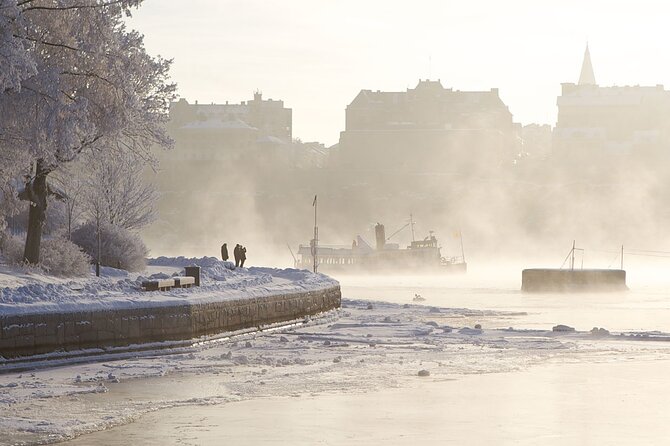 Stockholm Winter Boat Tour with Guide - Key highlights before you go