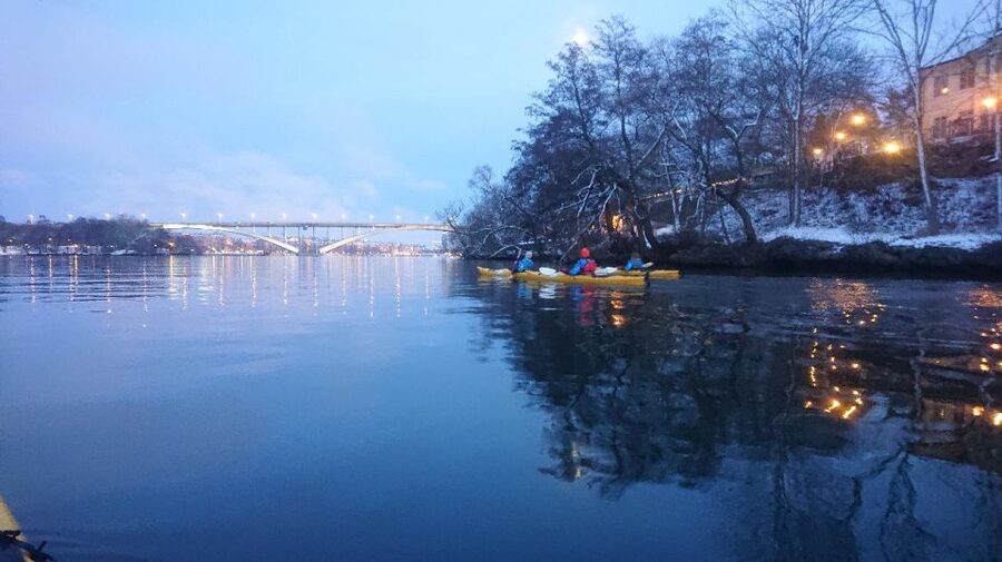 Stockholm: Winter City Kayaking Tour - Key highlights you will feel on the water