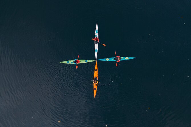 Stockholm: Winter Kayaking, Swedish Fika and hot Sauna Experience - Winter kayaking in Stockholm’s archipelago, where the cold feels like a feature