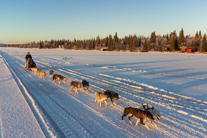 Sunrise Zen Husky Tour (10:00 to 13:00 - sitting on the sled) - Key things I’d watch for