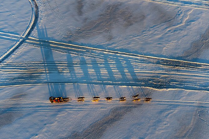 Sunrise Zen Husky Tour (10:00 to 13:00 - sitting on the sled) - The route in the woods, and what makes the views memorable