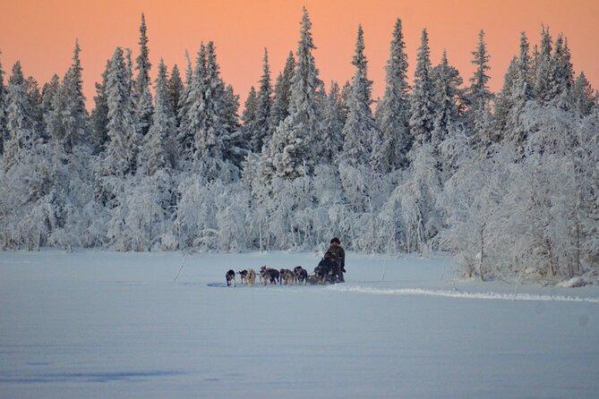 Sunrise Zen Husky Tour (10:00 to 13:00 - sitting on the sled) - Feeding the huskies: the small moment that makes it meaningful