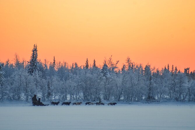 Sunrise Zen Husky Tour (10:00 to 13:00 - sitting on the sled) - The 17 km drive to Poikkijärvi Woods (why it feels quieter)