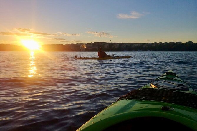 Sunset Kayak Tour in Central Stockholm and Swedish Fika - Price and value: is $147.14 per person worth it?