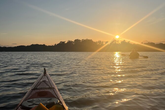 Sunset Kayak Tour in the Stockholm Archipelago + Swedish Fika - Sunset Kayaking in the Stockholm Archipelago, plus fika