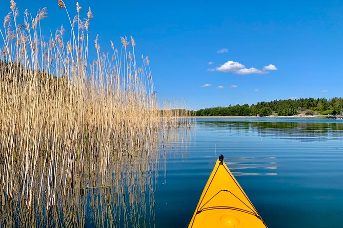 Sunset Kayak Tour in the Stockholm Archipelago + Swedish Fika - The guide factor: strong equipment and real know-how