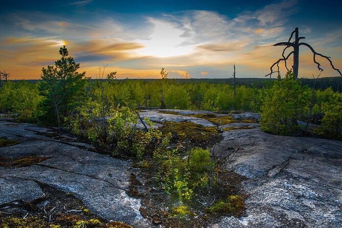 Survival Hike and tour of Tyresta National Park - Tyresta National Park survival hike, and why it works