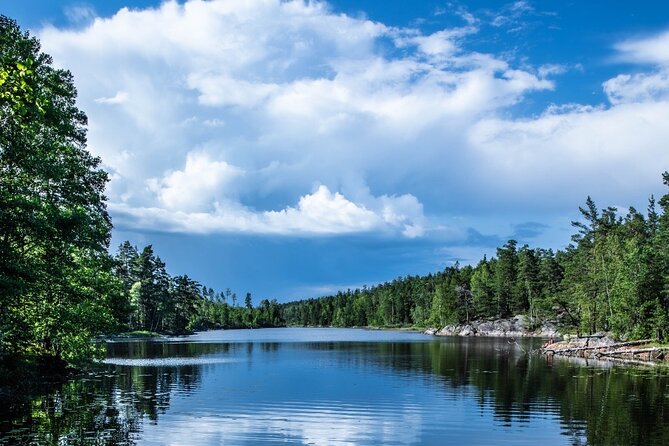 Survival Hike and tour of Tyresta National Park - Fire-making practice and grilling lunch in the Swedish woods