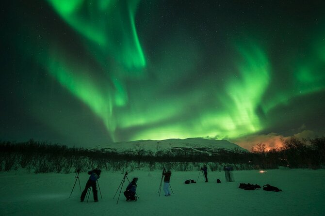 The Ultimate Aurora Photo Adventure - Parc Nacional dAbisko: the “stop” that matters more than you think