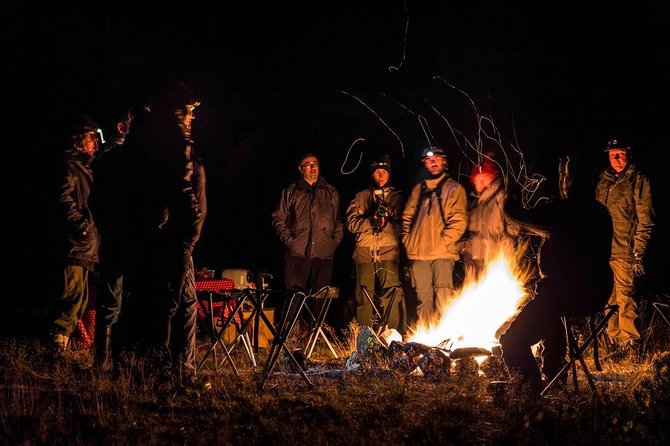 The Wolf Howl Experience - Wolf Howl Experience in Sweden, where the focus is respect