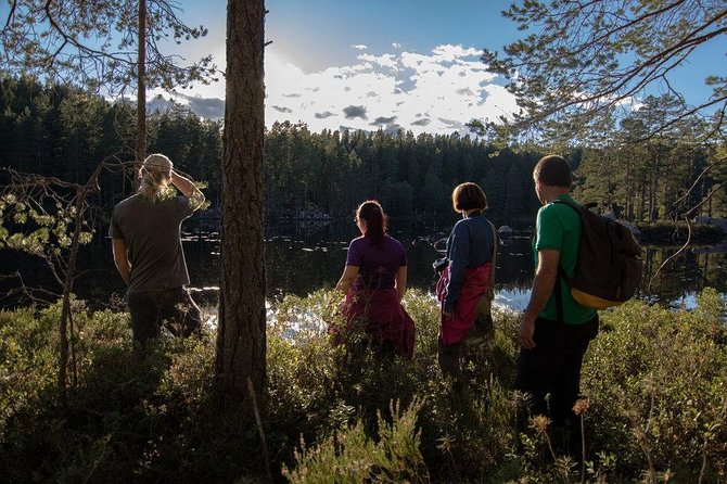 The Wolf Howl Experience - Night one: hammocks, campfire cooking, and wolf listening mode