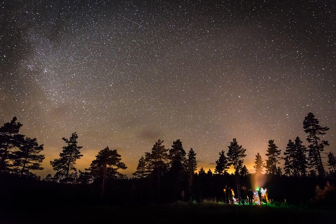 The Wolf Howl Experience - Day 2: breakfast, tracking signs, and a headlamp walk for night listening