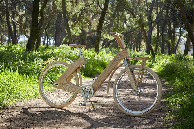 The Wooden Bicycle Tour in Stockholm - Your Guide Matters More Than You Think