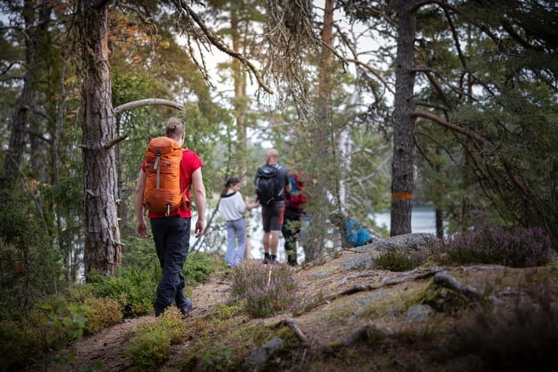 Tiveden National park: Summer guided walk around Stenkälla - Tiveden National Park, why Stenkälla feels special