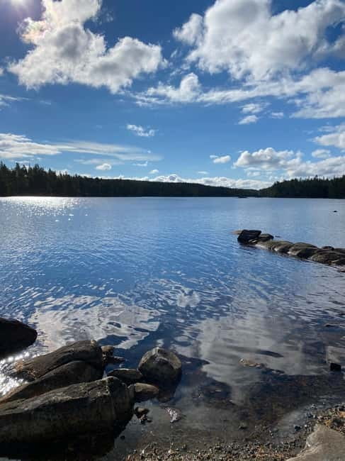Tiveden National park: Summer guided walk around Stenkälla - Price and value: is $43 reasonable for this kind of guided walk?