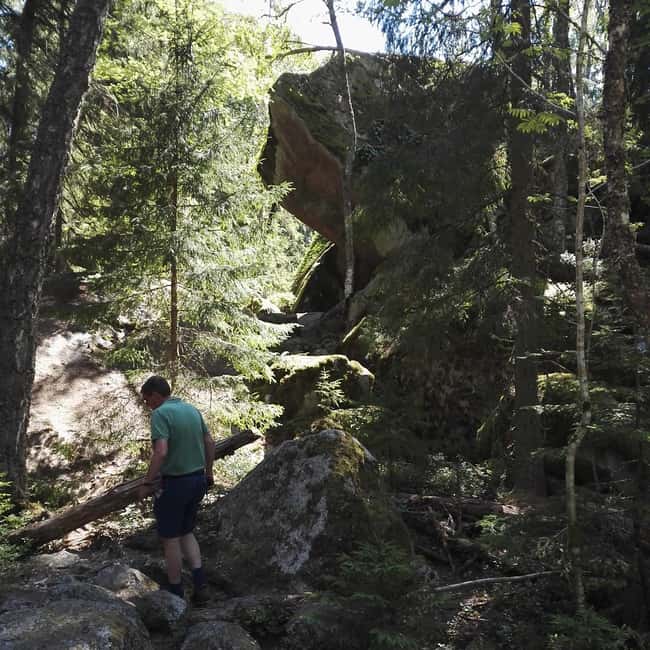 Tiveden National park: Summer guided walk around Stenkälla - What a 2-hour guided walk in Stenkällan really means