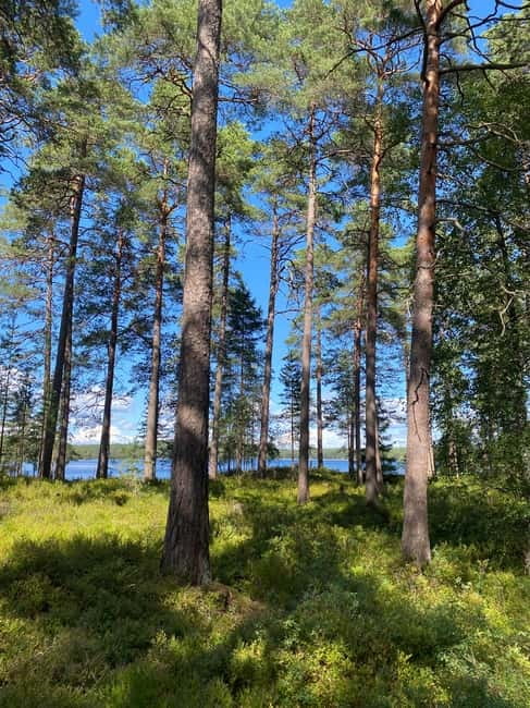 Tiveden: The Legend of Junker Jägare Guided Hike - Key highlights you’ll feel right away