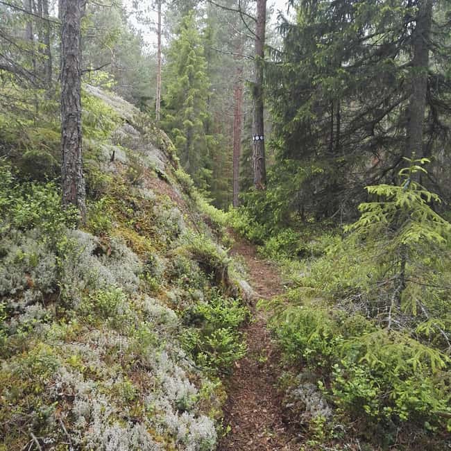 Tiveden: The Legend of Junker Jägare Guided Hike - Why sustainable rural development is more than a buzzword here
