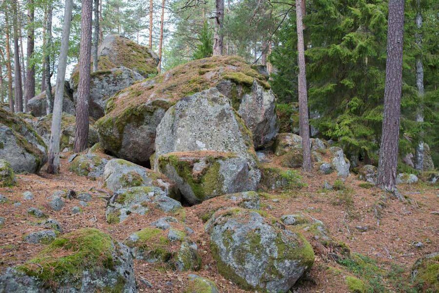 Tiveden: The Legend of Junker Jägare Guided Hike - Who this Junker Jägare hike suits best, and who should skip it
