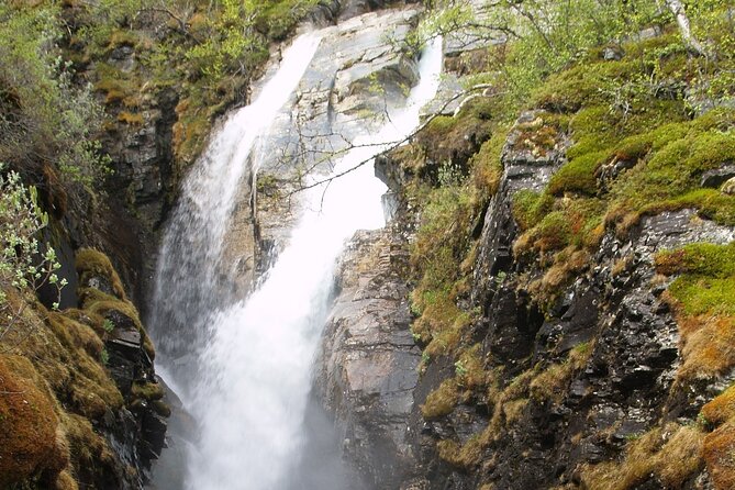 Tour to Abisko national park - Key highlights you will remember