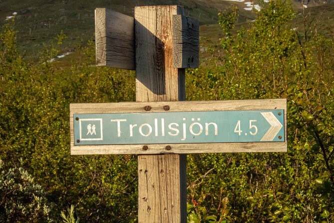Trollsjön Guided Day Tour - Should you book Trollsjön with Abisko Adventure?