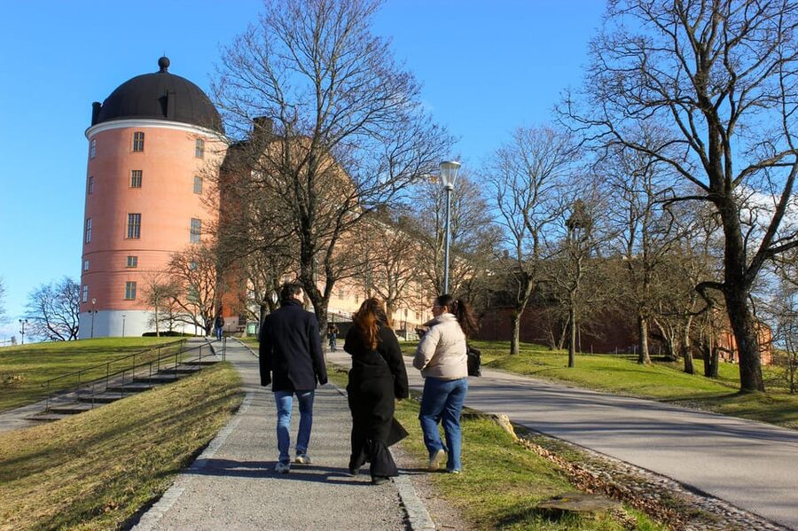 Uppsala: City Highlights and Hidden Gems Walking Tour - Uppsala Cathedral: Gustav Vasa and the weight of old stone