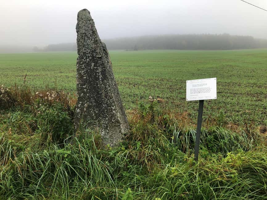 Viking History Half-Day Tour from Stockholm - Viking causeway and assembly: picture the social life behind the stones