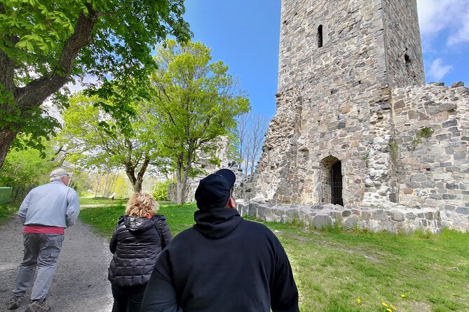 Viking History, Runes & Countryside 9h Tour to Sigtuna & Uppsala - A Viking day trip that actually fits in one morning