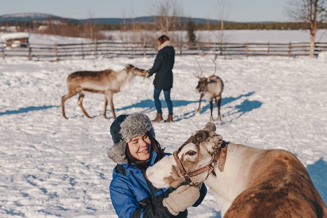 Visit the Sami and Reindeer in a Day Trip from Abisko - Getting There From Abisko and Björkliden, Without the Headaches
