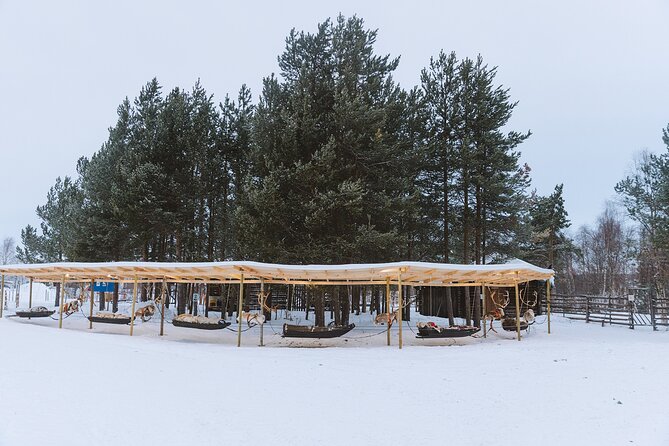 Visit the Sami and Reindeer in a Day Trip from Abisko - Nutti Sámi Siida: The Open-Air Museum Experience That Actually Teaches