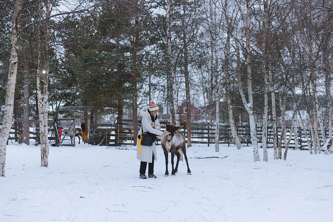 Visit the Sami and Reindeer in a Day Trip from Abisko - What If You Find Outdoor Tours Boring?