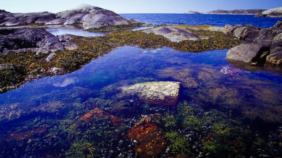 West Sweden: Self Guided Kayak Tour - Southern Route - Key things that make this kayak tour worth your time