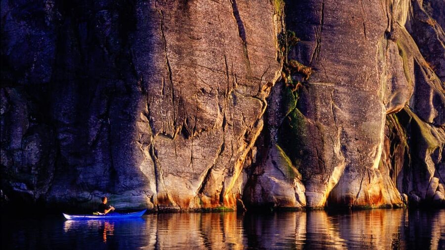 West Sweden: Self Guided Kayak Tour - Southern Route - Wildlife and marine life: the moments that don’t take planning