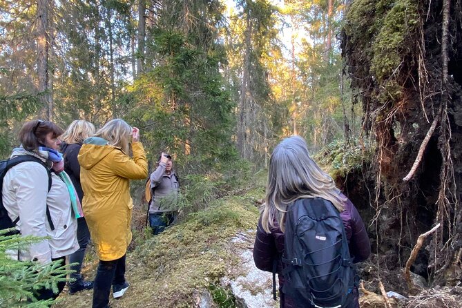 Wolf and Wildlife Tracking in Sweden - Wolf Tracking Near Stockholm: how this tour actually works