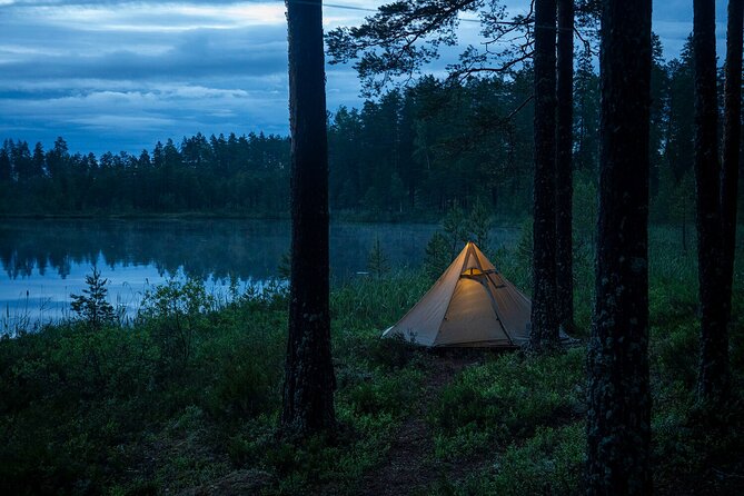 Wolves, Moose & Beavers in the forests of Central Sweden - Day 4: The Wolf Night, Quiet-Listening Strategy, and Tents After Midnight