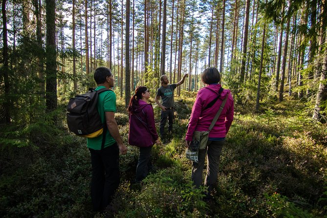 Wolves, Moose & Beavers in the forests of Central Sweden - Day 5: Slow Morning, Shower Chance, and the Return to Stockholm