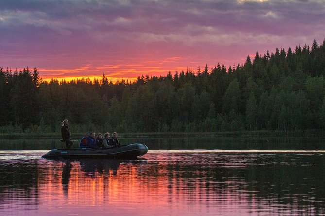 Wolves, Moose & Beavers in the forests of Central Sweden - Price and Value: Why This Costs More Than a Standard Day Trip